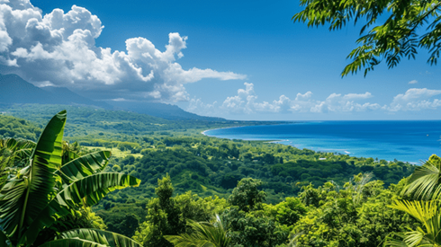 Bird's eye view of a Jamaican forest and coastline