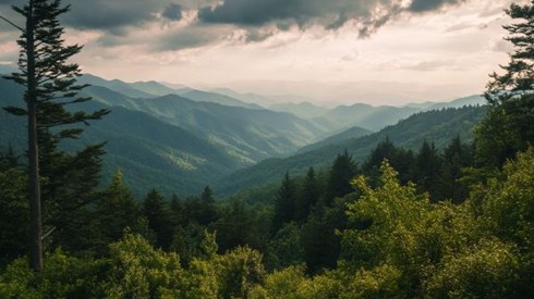 Great Smoky Mountains in North Carolina