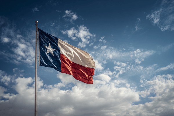 The Texas state flag waving in the wind