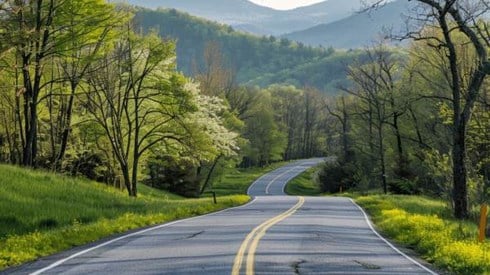 Winding country road through Vermont's Green Mountains