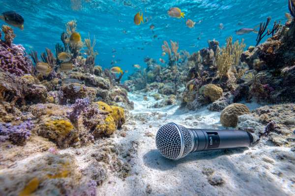 handheld microphone lying on the sand of the seafloor underwater with coral and tropical fish