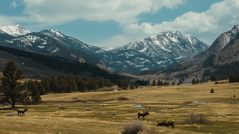 A herd of elk in a green meadow with mountains against a blue sky in the background
