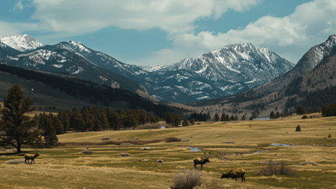 A herd of elk in a green meadow with mountains against a blue sky in the background