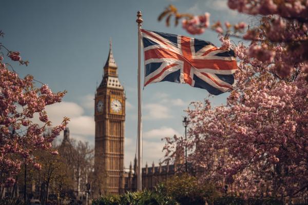 UK flag waving in front of the Big Ben tower amid cherry blossom trees in London