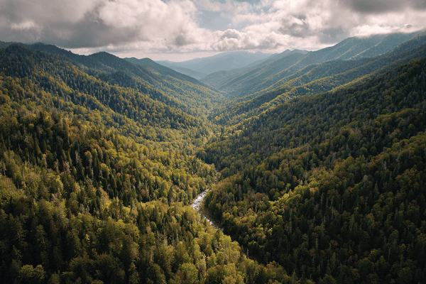 An aerial view of a tree-covered valley with cloudy skies