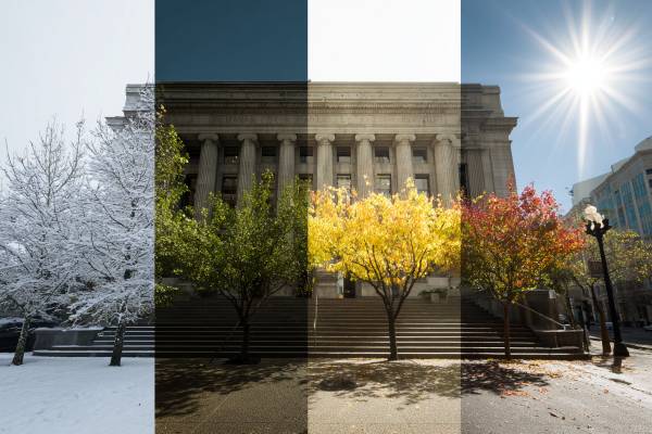 four seasons of panels over the same courthouse, snow then spring green leaves followed by summer heat then fall leaves