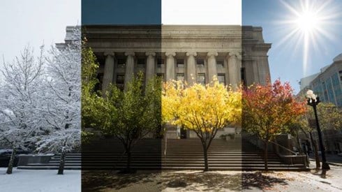 four seasons of panels over the same courthouse, snow then spring green leaves followed by summer heat then fall leaves