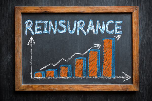 chalkboard with the word "REINSURANCE" and an increasing bar chart drawn on it