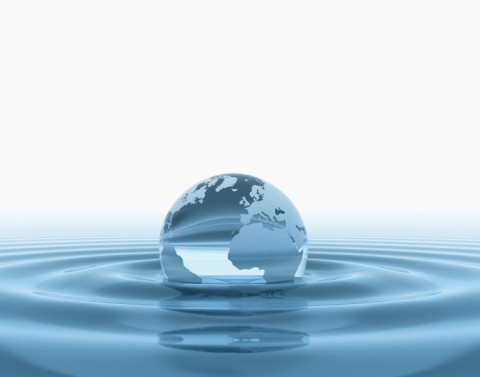 Globe floating in water