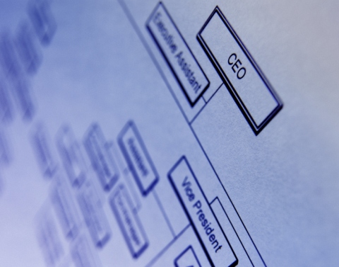 An organization chart showing CEO, Executive Assistant, and Vice President, with the rest of the chart blurred.