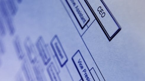 An organization chart showing CEO, Executive Assistant, and Vice President, with the rest of the chart blurred.