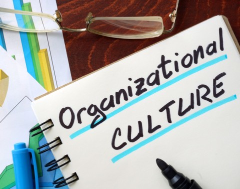 A desk has printouts of statistics, eyeglasses, a marker, and a note pad with the words Organizational Culture underlined