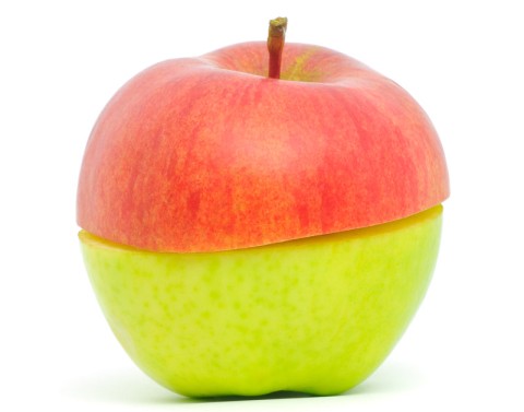 Top half of a red apple sitting on the bottom half of a green apple