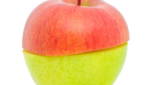 Top half of a red apple sitting on the bottom half of a green apple