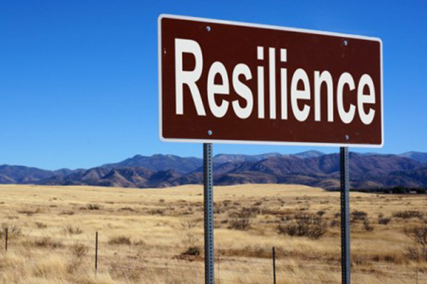 A road sign with the word Resilience with brown grass and mountains in background