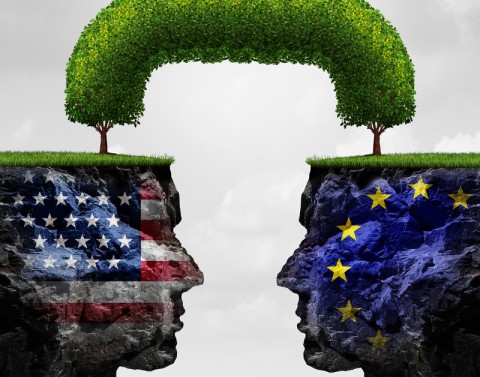 Two rock-carved heads superimposed with U.S. and European flags face each other with a tree growing from both to form an arch