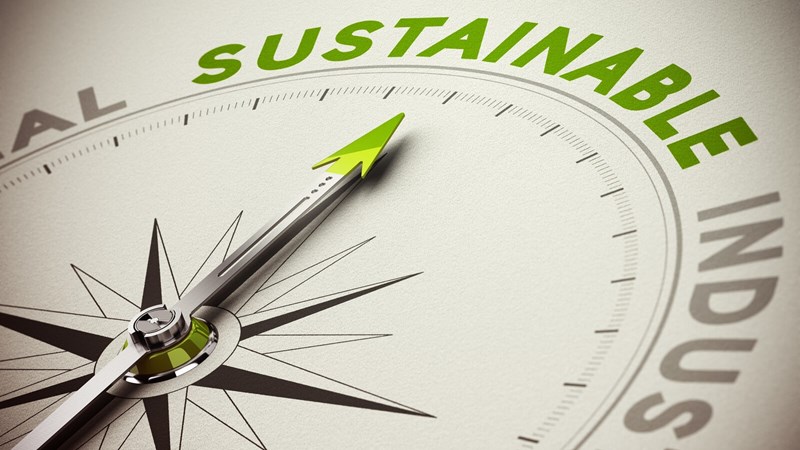 Compass with needle pointing to the word "sustainable" written in green
