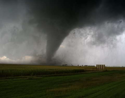 Tornado touching down in a corn field with a different green crop field showing in the foreground