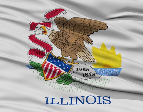 The Illinois flag has an eagle with a banner in its beak and shield in its talons and is perched on a rock