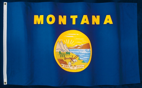 The Montana flag with the word MONTANA on blue material with yellow and multicolor scenic view seal in the middle