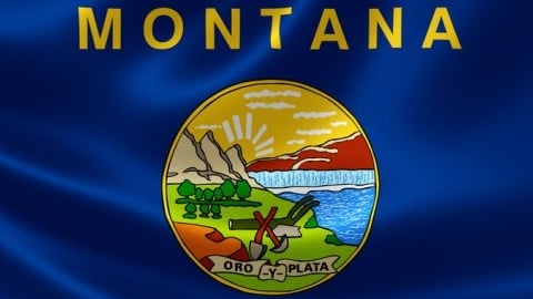 Montana State Flag