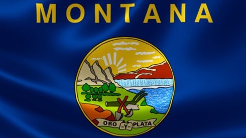 Montana State Flag