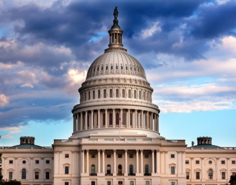 The U.S. Capitol Building