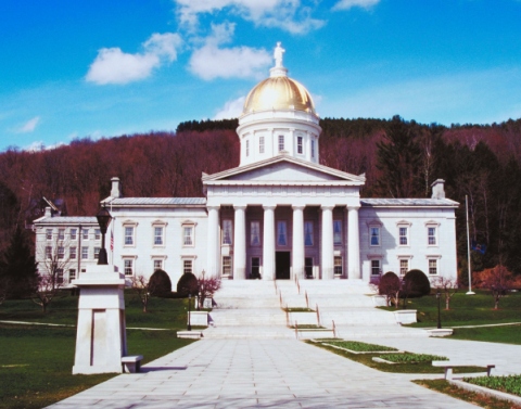 A view of the Vermont State Capitol building with a long paved pathway, grass, and purplish trees in background