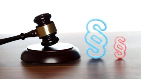 Gavel next to paragraph section symbols