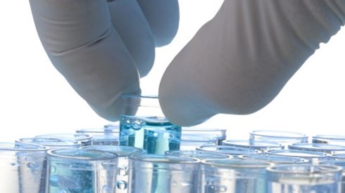 Gloved hand retrieving vials with blue liquid