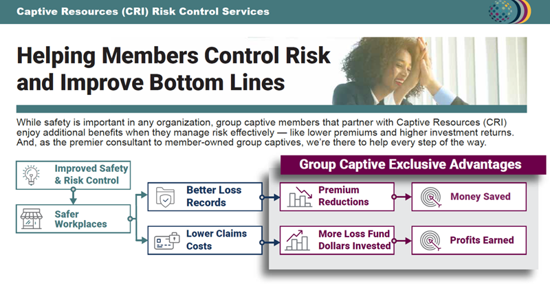 Graphic Flowchart - Helping Members Control Risk and Improve Bottom Lines - Captive Resources