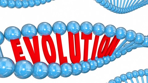 The Word Evolution in Red Uppercase Letters Between Strands of Blue DNA