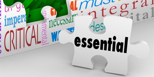 Essential on a puzzle piece