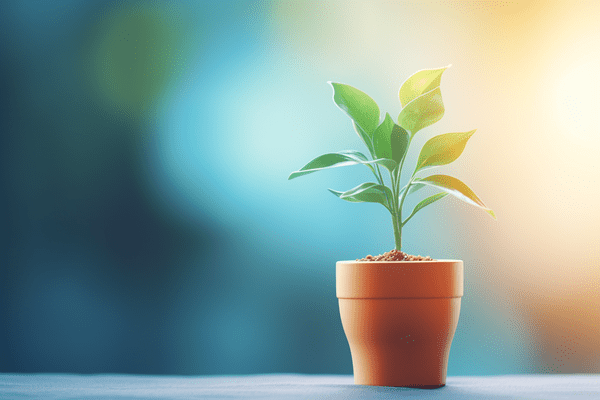 A potted plant sitting on a table and growing