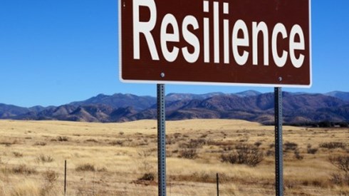 The word resilience on a road sign in front of a dry grass and mountain landscape