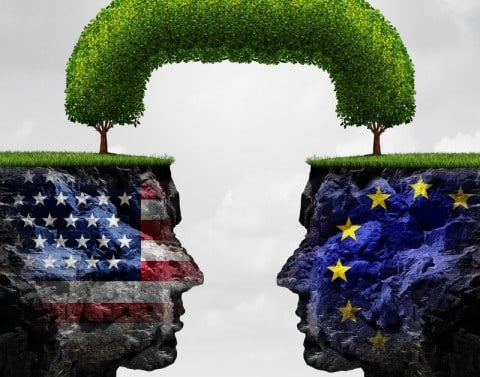 Two rock-carved heads superimposed with U.S. and European flags face each other with a tree growing from both to form an arch