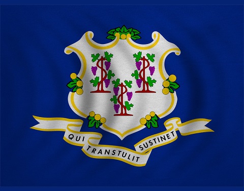 The Connecticut flag has a shield with 3 grapevines and a banner in Latin that is translated as He who transplanted sustains