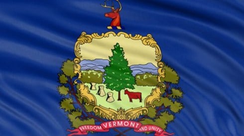 Vermont flag with the blue material rippled and the words FREEDOM VERMONT AND UNITY visible 
