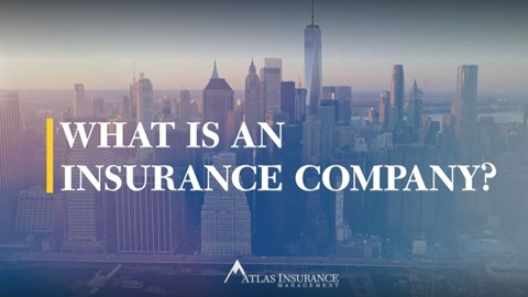 Atlas Insurance Management Vice President Tania Davies Explains What an Insurance Company Is